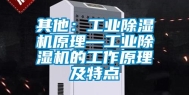 其他：工业除湿机原理—工业除湿机的工作原理及特点