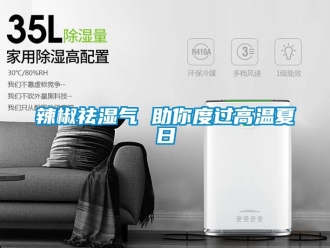 行业新闻辣椒祛湿气 助你度过高温夏日