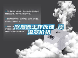 行业新闻除湿器工作原理 除湿器价格