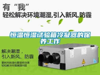 知识百科恒温恒湿试验箱冷凝器的保养工作
