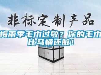 行业新闻梅雨季毛巾过敏？你的毛巾比马桶还脏！