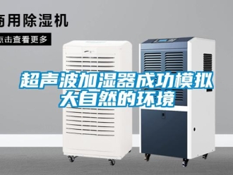 企业新闻超声波加湿器成功模拟大自然的环境
