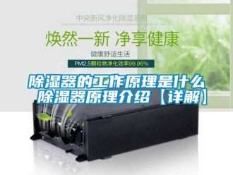 行业新闻除湿器的工作原理是什么 除湿器原理介绍【详解】