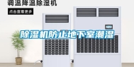 除湿机防止地下室潮湿