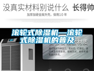 行业新闻滚轮式除湿机—滚轮式除湿机的普及