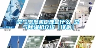空气除湿机原理是什么 空气除湿机介绍【详解】