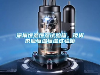 知识百科深圳恒温恒湿试验箱，现货供应恒温恒湿试验箱