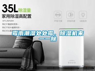 行业新闻霉雨潮湿处处霉，除湿机来一一除