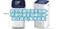 武汉恒温恒湿实验箱-恒湿恒温实验箱价格-湖北高天(推荐商家)