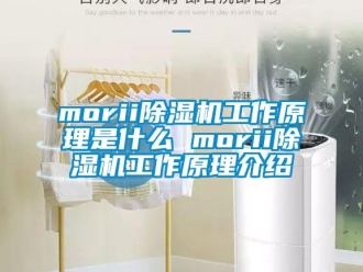 企业新闻morii除湿机工作原理是什么 morii除湿机工作原理介绍