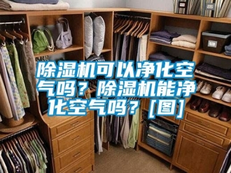 行业新闻除湿机可以净化空气吗？除湿机能净化空气吗？[图]