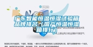 广东智能恒温恒湿试验箱品牌排名（国产恒温恒湿箱排行）