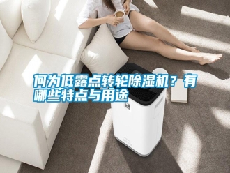 行业新闻何为低露点转轮除湿机？有哪些特点与用途