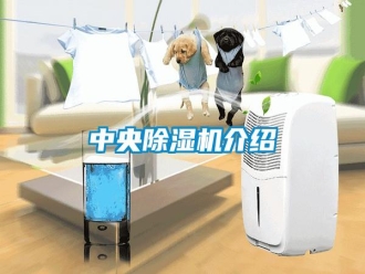 知识百科中央除湿机介绍