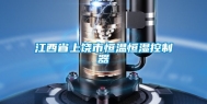 江西省上饶市恒温恒湿控制器