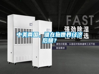 知识百科中美两国，谁在拖世界经济后腿？