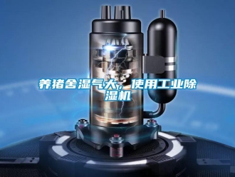 知识百科养猪舍湿气大，使用工业除湿机