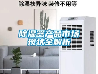行业新闻除湿器产品市场现状全解析