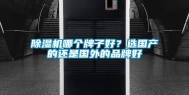 除湿机哪个牌子好？选国产的还是国外的品牌好