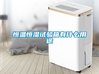 知识百科恒温恒湿试验箱有什么用途
