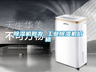 常见问题除湿机批发 工业除湿机价格