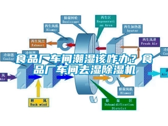 企业新闻食品厂车间潮湿该咋办？食品厂车间去湿除湿机