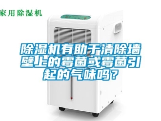 行业新闻除湿机有助于清除墙壁上的霉菌或霉菌引起的气味吗？
