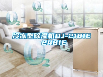 行业新闻冷冻型除湿机DJ-2181E 2481E