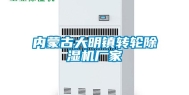 内蒙古大明镇转轮除湿机厂家