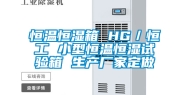 恒温恒湿箱 HG／恒工 小型恒温恒湿试验箱 生产厂家定做
