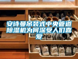企业新闻安诗曼吊装式中央管道除湿机为何深受人们喜爱