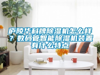 行业新闻庐陵华科牌除湿机怎么样？数码管智能除湿机装置有什么特点