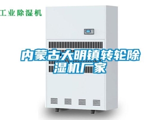 企业新闻内蒙古大明镇转轮除湿机厂家