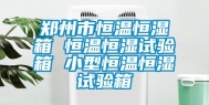 郑州市恒温恒湿箱 恒温恒湿试验箱 小型恒温恒湿试验箱