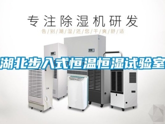 知识百科湖北步入式恒温恒湿试验室