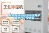 砼水泥标准恒温恒湿养护箱生产厂家质优