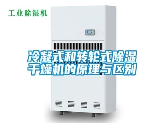 行业新闻冷凝式和转轮式除湿干燥机的原理与区别