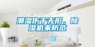 潮湿伤于无形，除湿机来防范