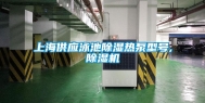 上海供应泳池除湿热泵型号,除湿机