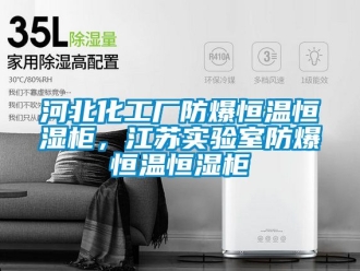 知识百科河北化工厂防爆恒温恒湿柜，江苏实验室防爆恒温恒湿柜