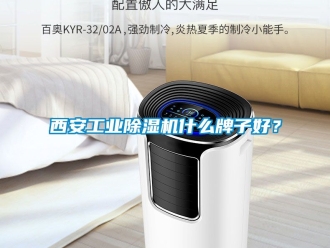 常见问题西安工业除湿机什么牌子好？
