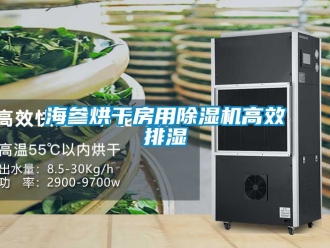 行业新闻海参烘干房用除湿机高效排湿