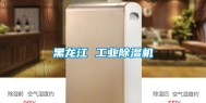 黑龙江 工业除湿机