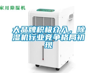 企业新闻大品牌积极介入，除湿机行业竞争格局初现