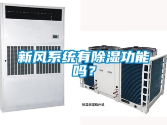 行业新闻新风系统有除湿功能吗？