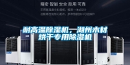 耐高温除湿机，湖州木材烘干专用除湿机