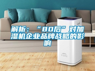 行业新闻解析：“80后”对加湿机企业品牌战略的影响