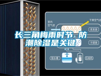 知识百科长三角梅雨时节 防潮除湿是关键