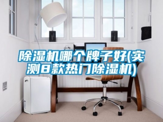 行业新闻除湿机哪个牌子好(实测8款热门除湿机)