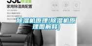 除湿机原理(除湿机原理图解释)